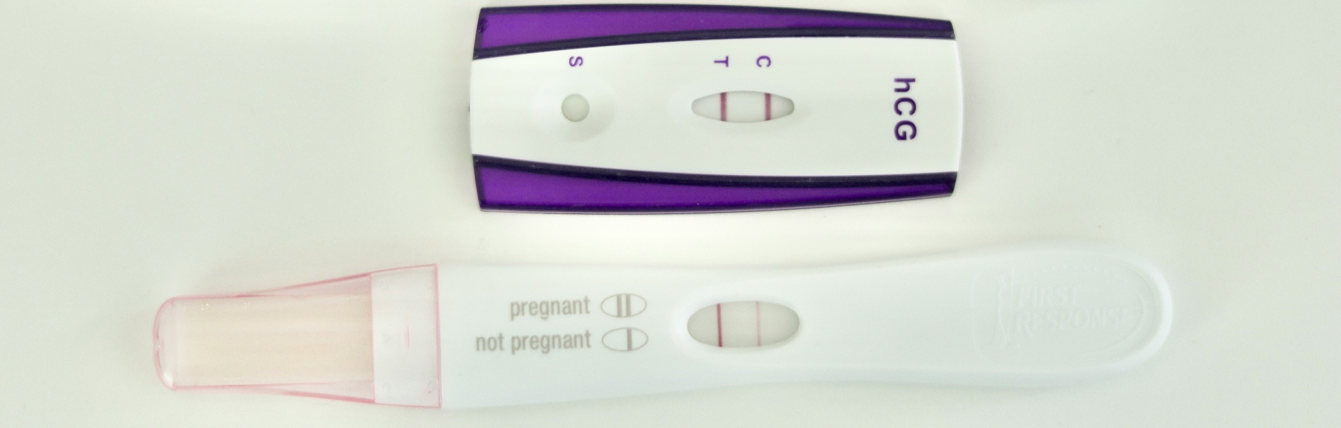 banner image